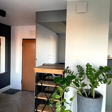 Апартаменты Wieloapartment - Paderewskiego