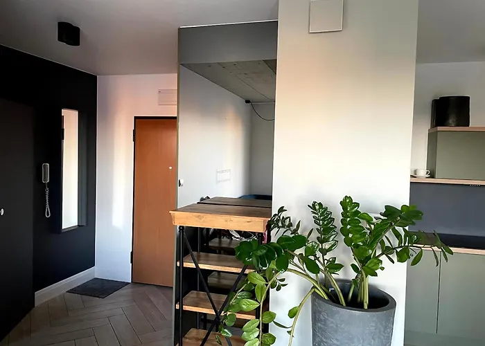 Apartament Wieloapartment - Paderewskiego